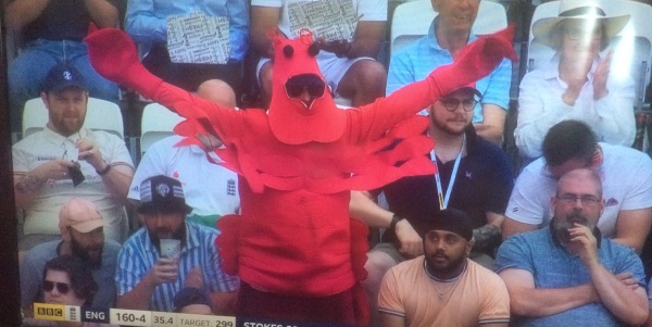 A man in a sports crowd, dressed as a lobster